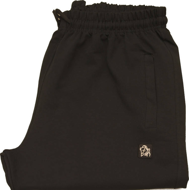 Ciepłe Spodnie Dresowe BH760 Czerń