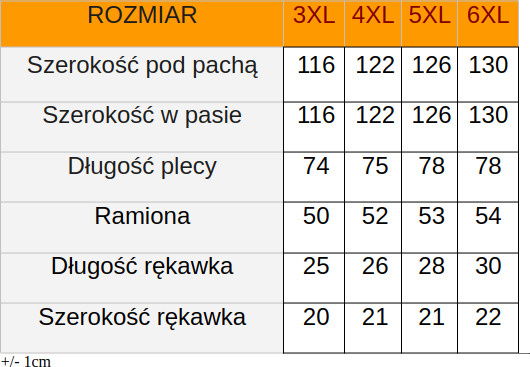 Duży T-shirt Litt Star 5273 Bordo