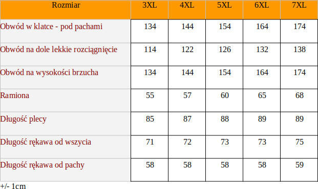 Duża Bluza, półgolf BH712 Popiel